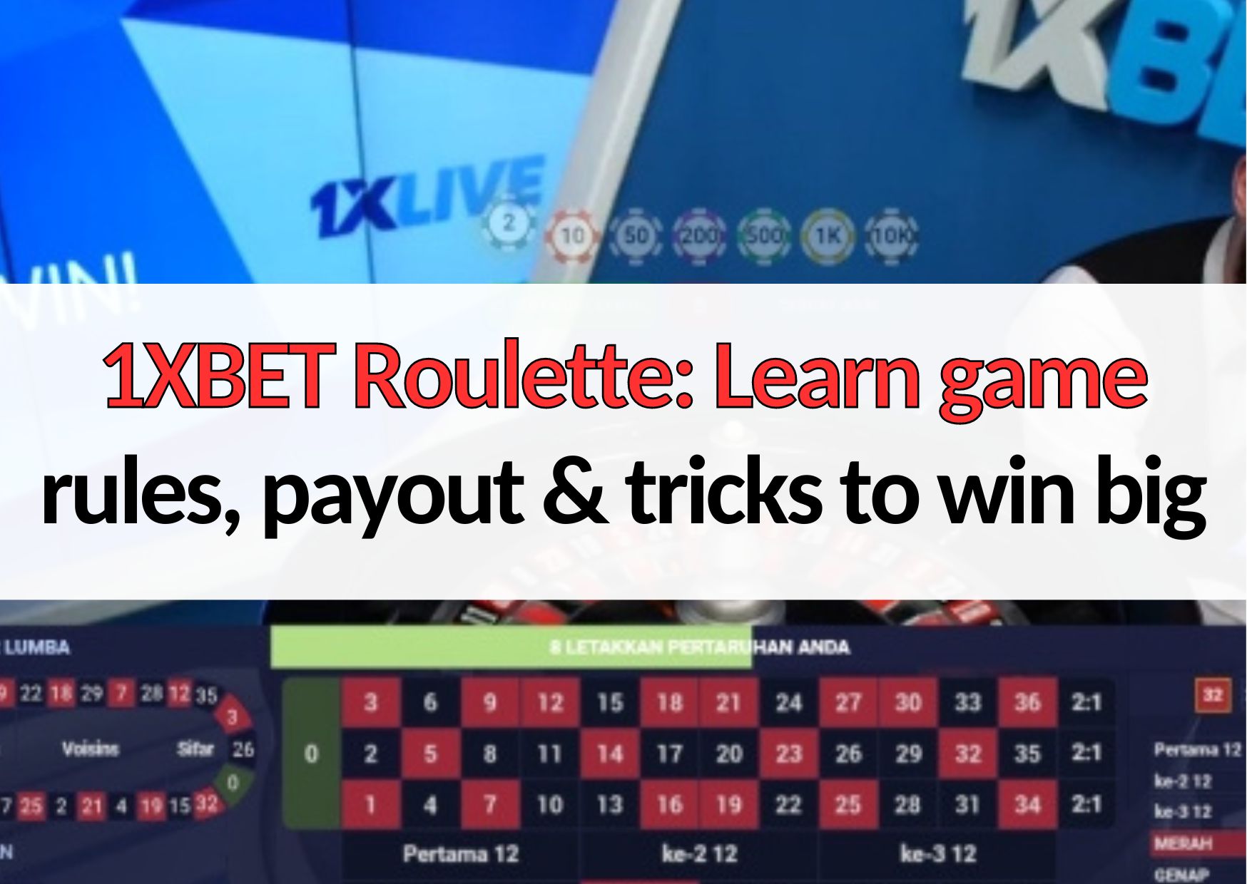 1xbet roulette learn how to play roulette online game
